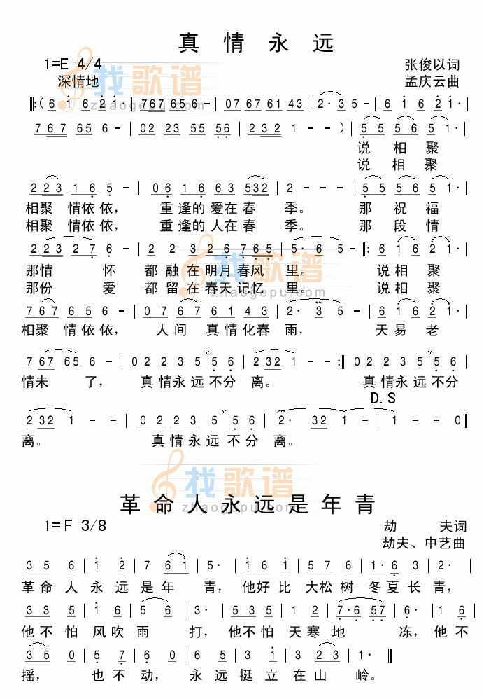 真情永远
