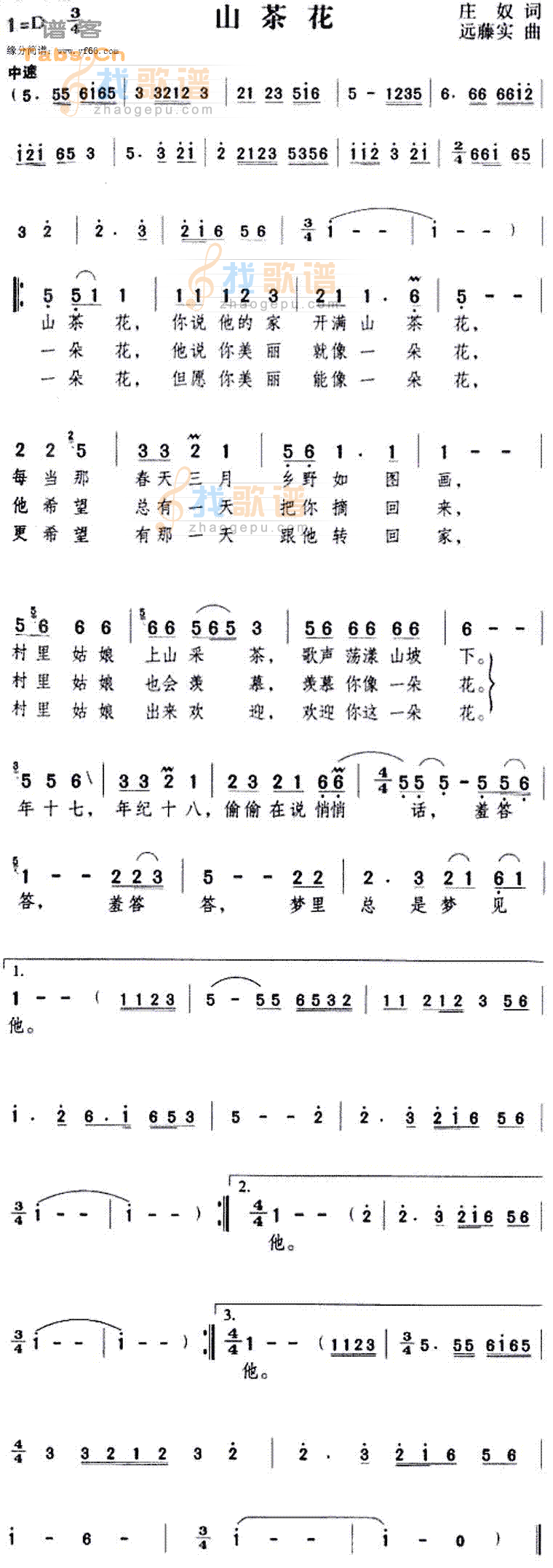 山茶花