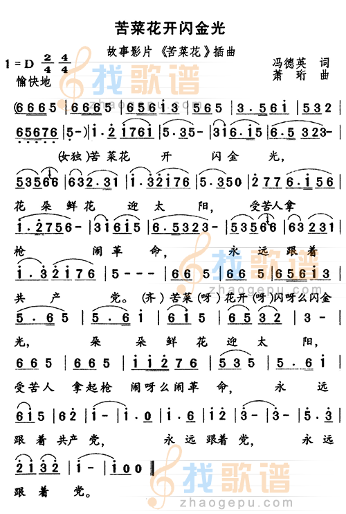 苦菜花开闪金光