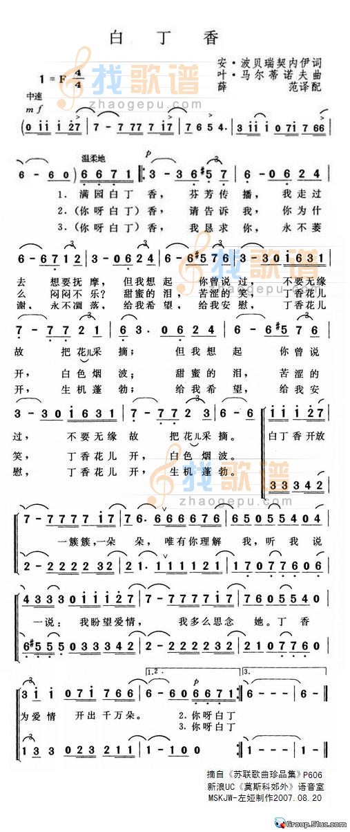 白丁香