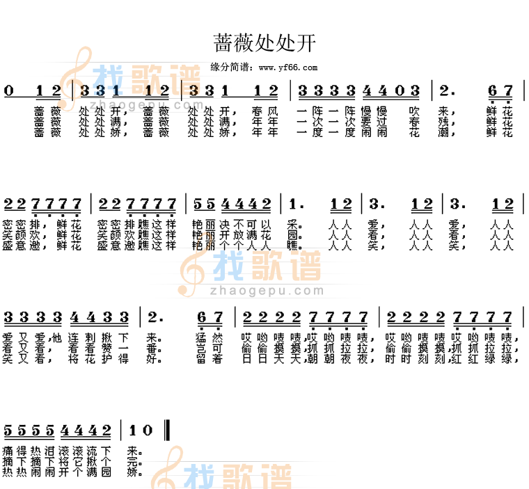 蔷薇处处开