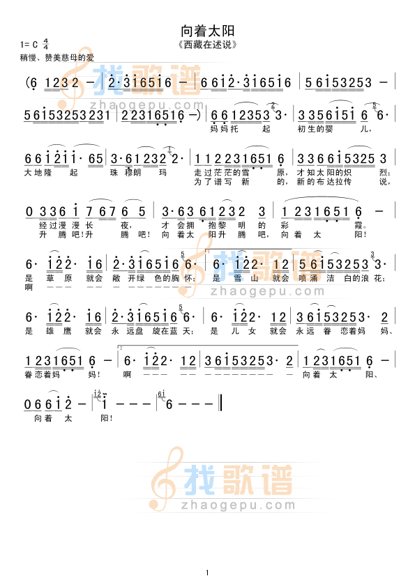向着太阳
