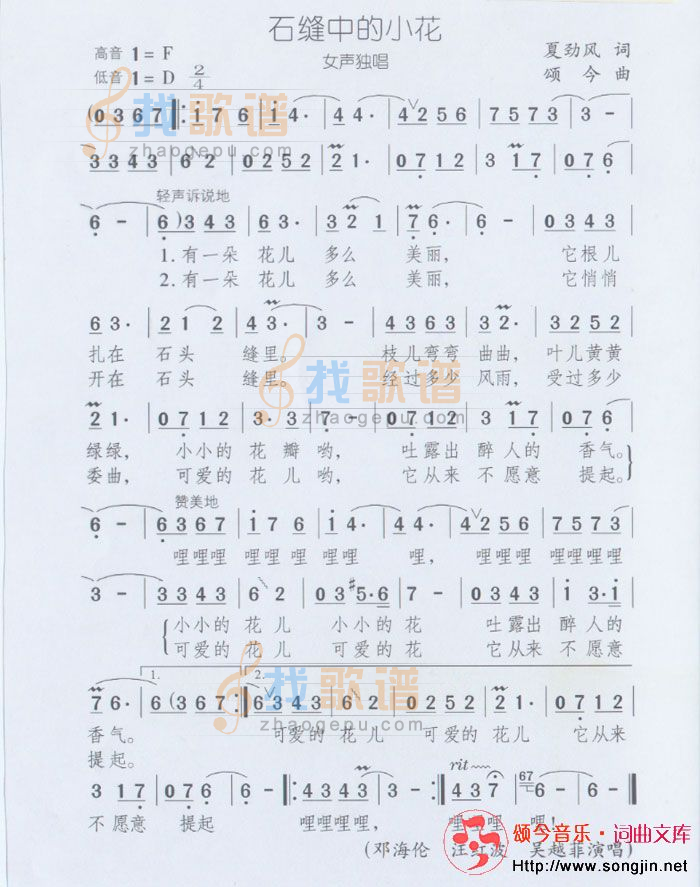石缝中的小花