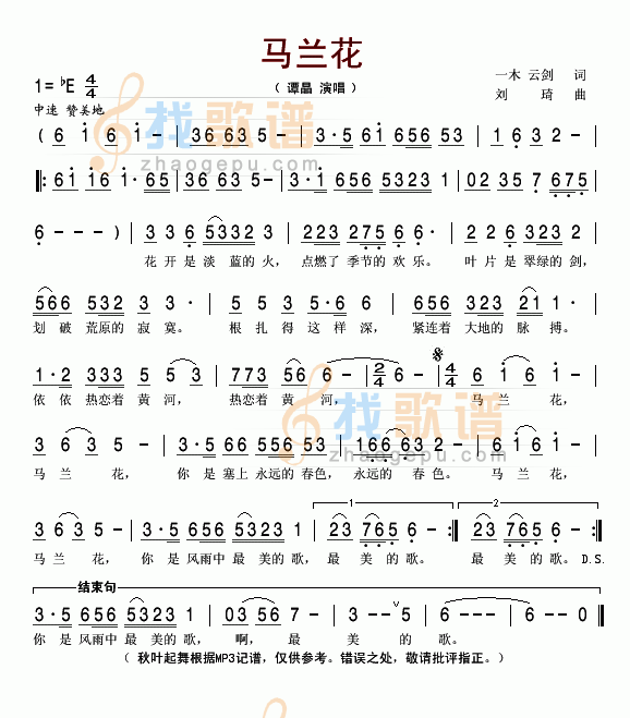 马兰花