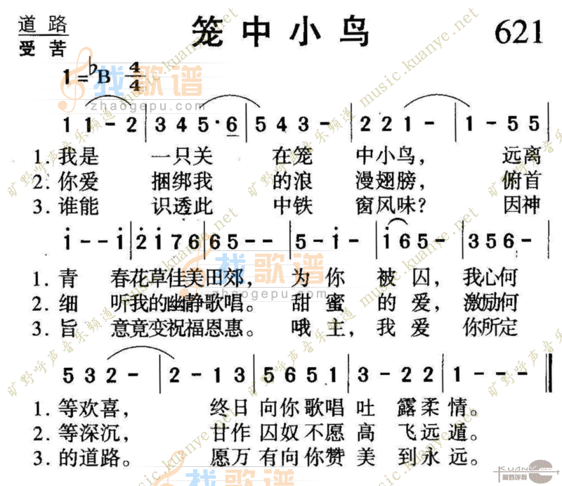 621笼中小鸟