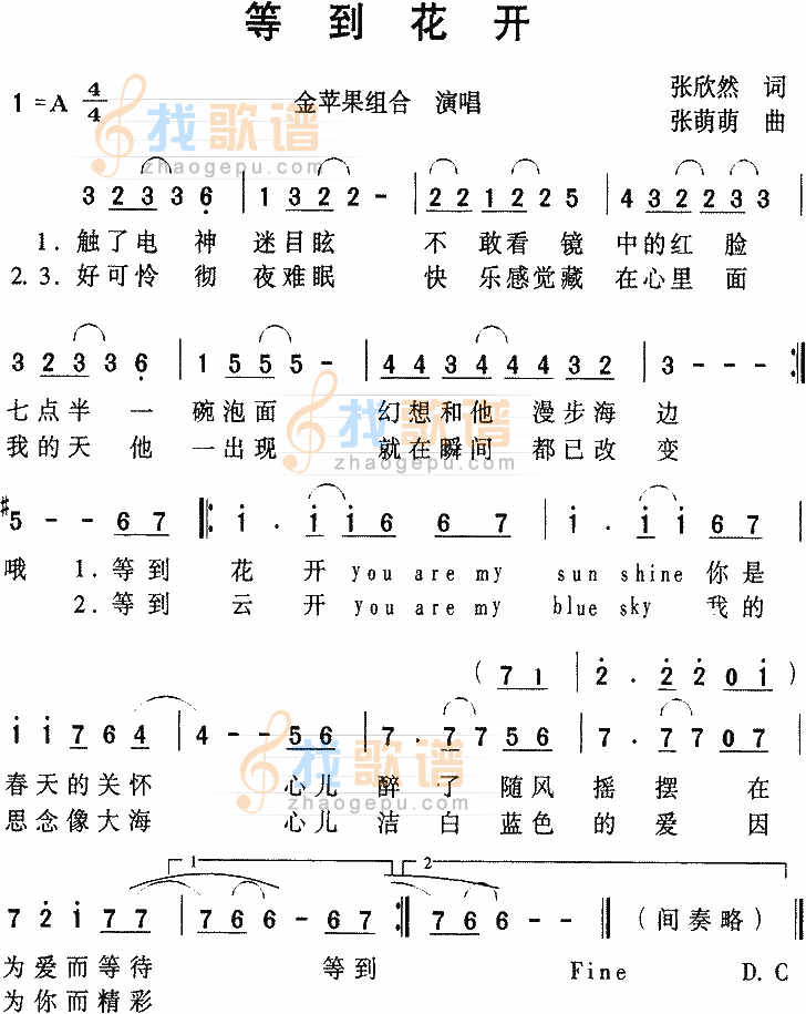 等到花开(金苹果组合)