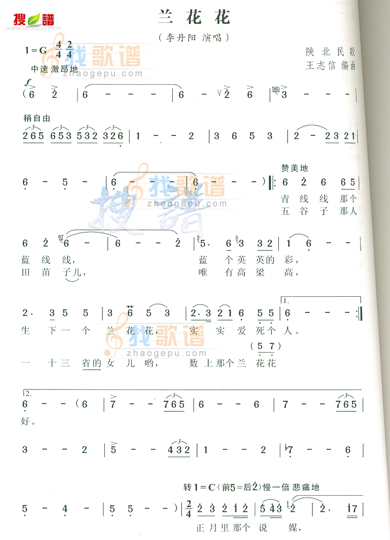 兰花花