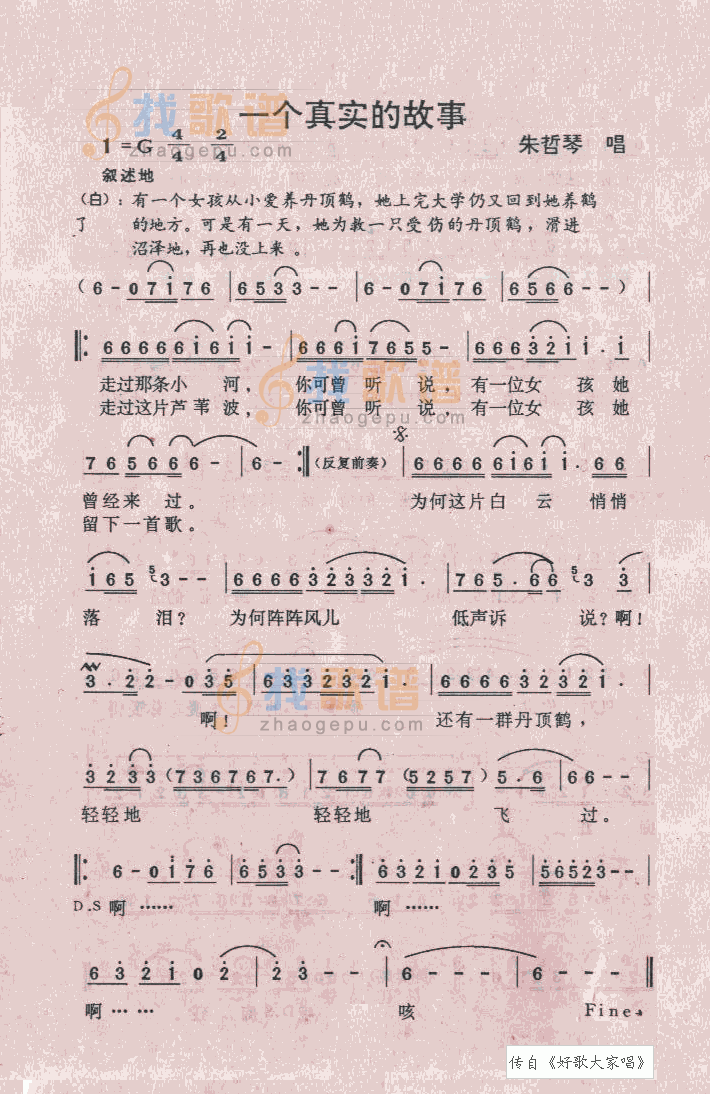一个真实的故事