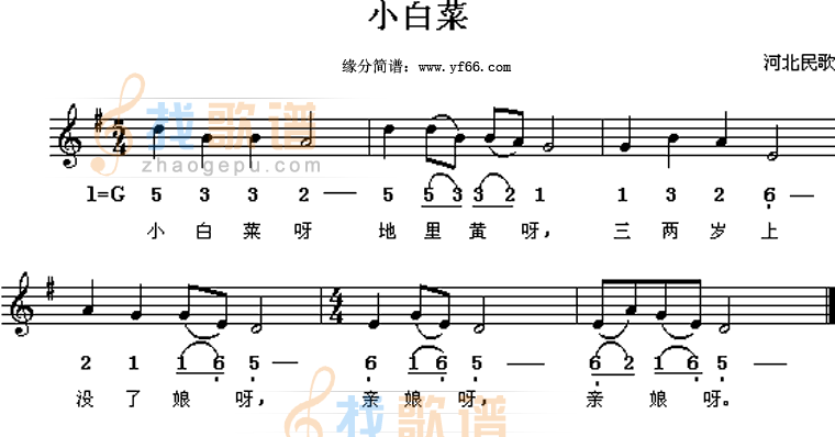 小白菜