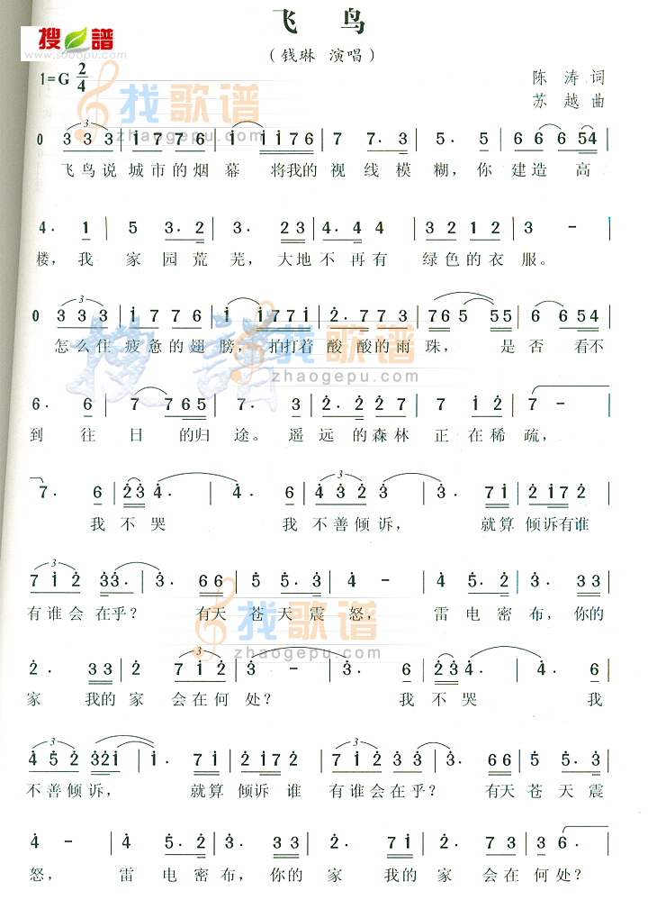 飞鸟