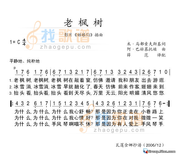 老枫树