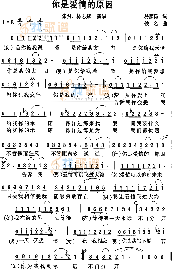 你是爱情的原因-陈明、林志炫