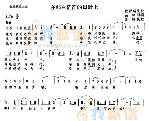在那白茫茫的原野上