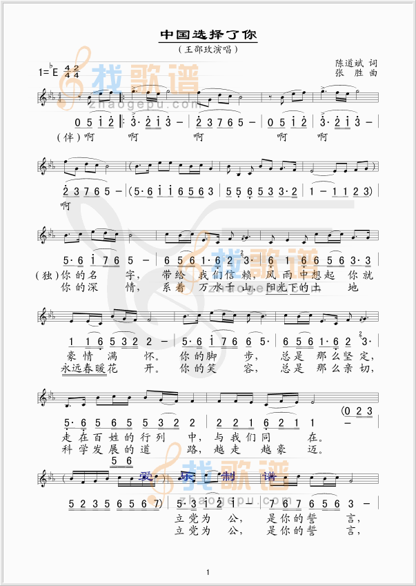 中国选择了你