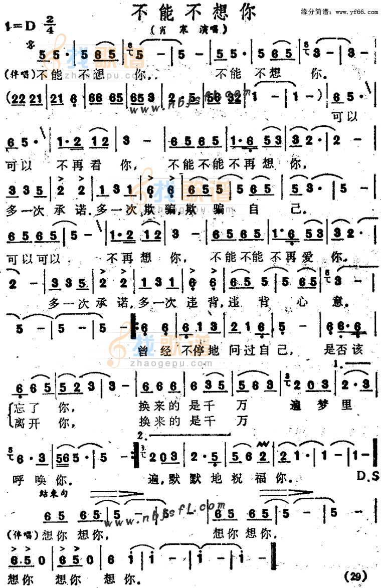 不能不想你