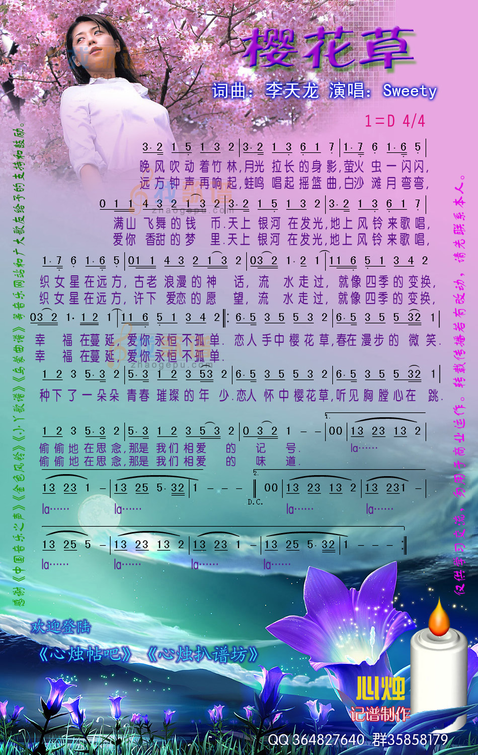 樱花草