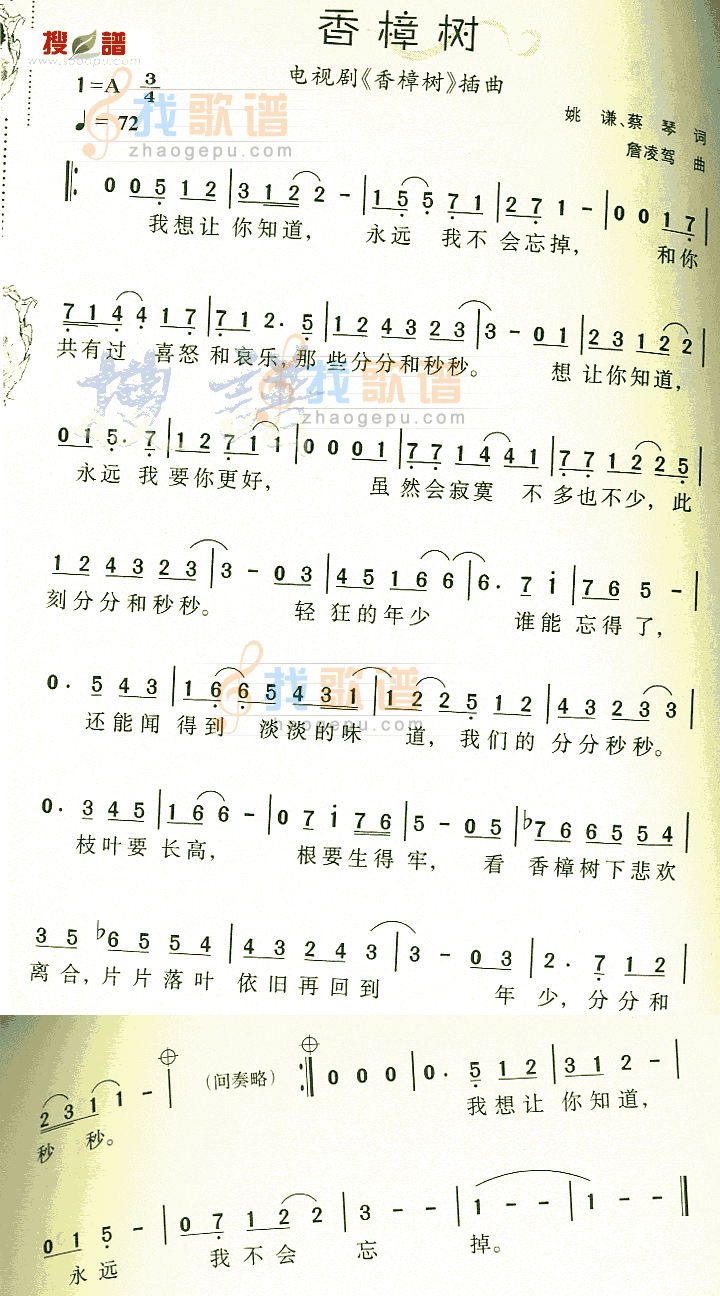 香樟树