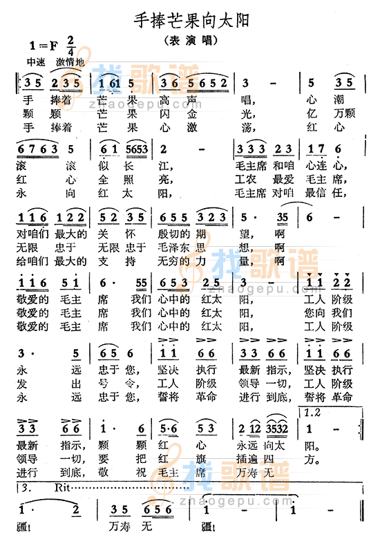 手捧芒果向太阳