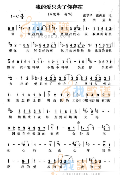 我的爱只为了你存在