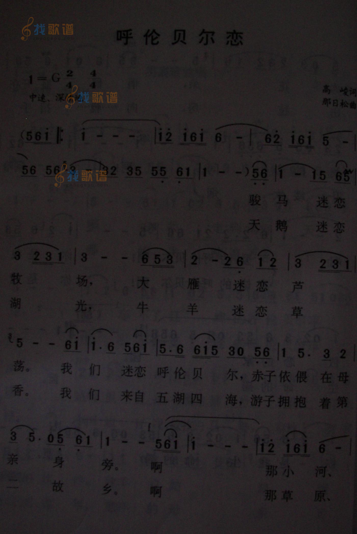 呼伦贝尔恋