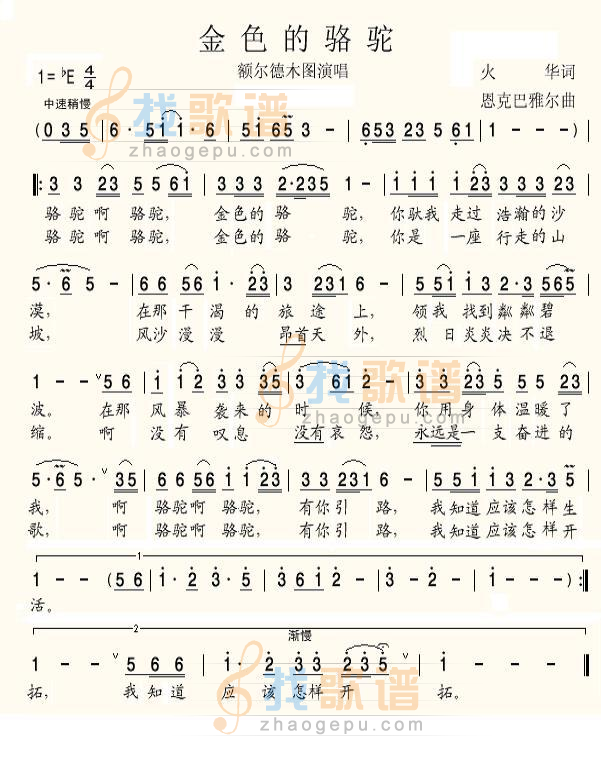 金色的骆驼