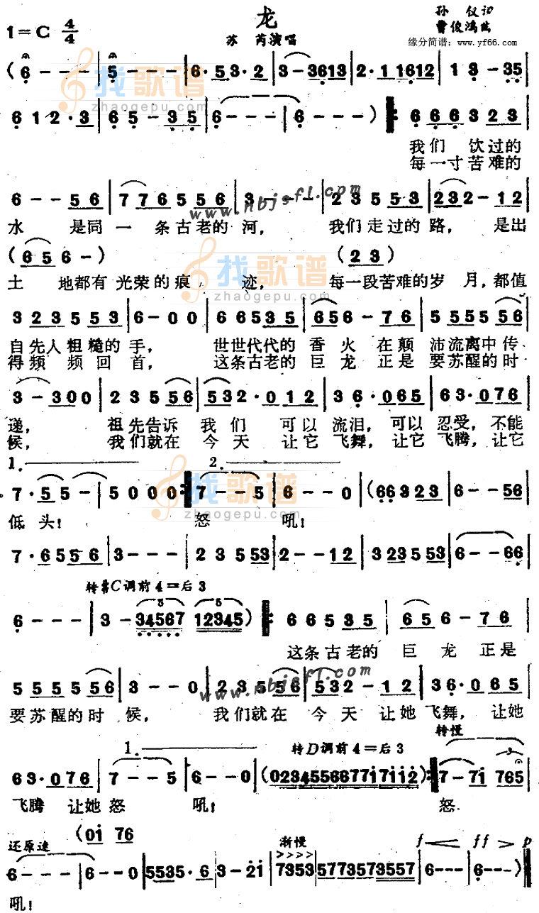 龙