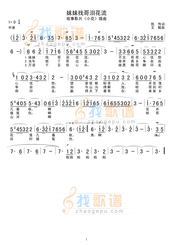 妹妹找哥泪花流