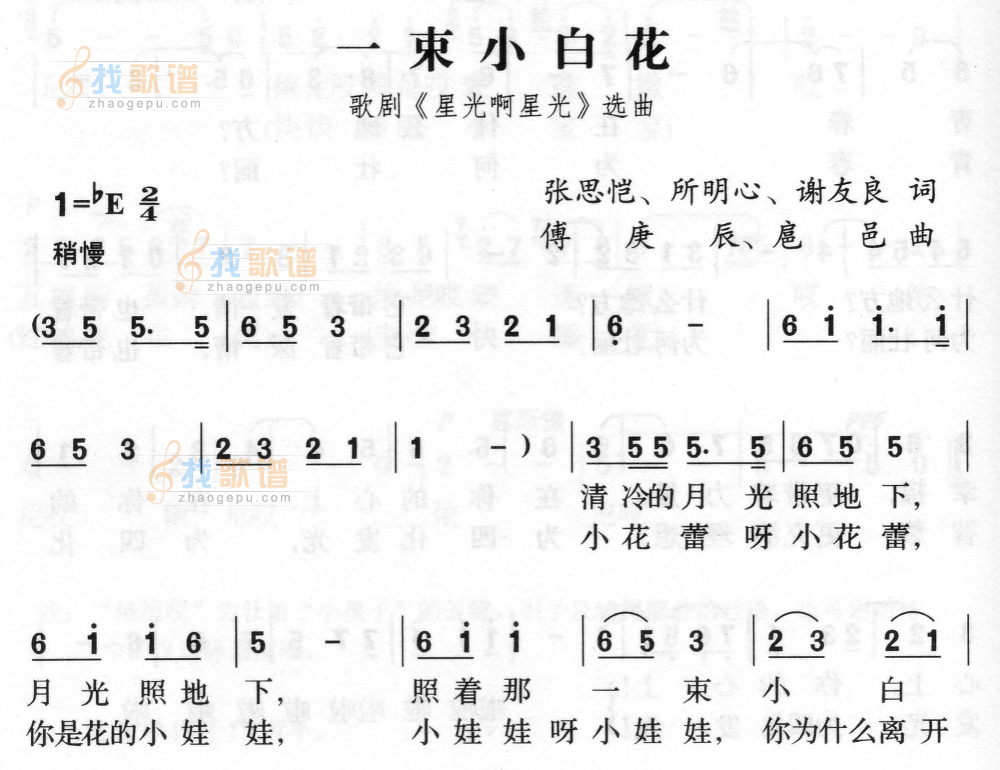 一束小白花