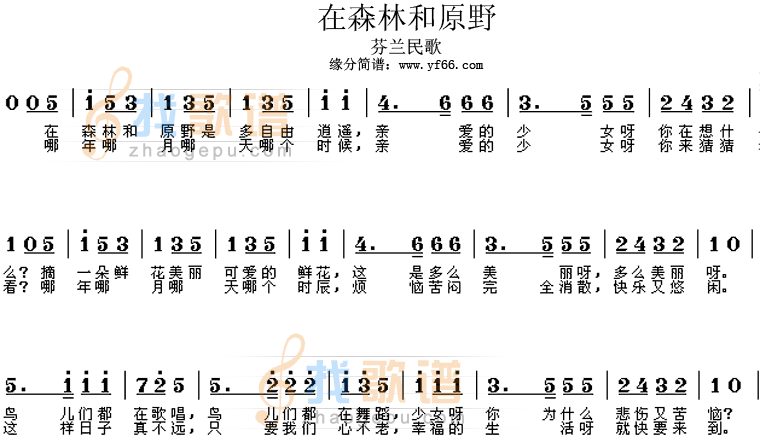 在森林和原野