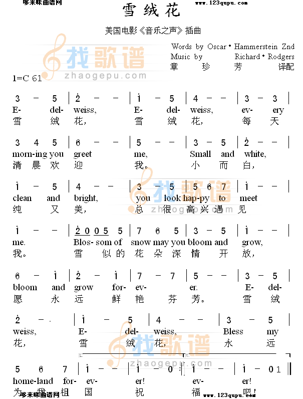 雪绒花