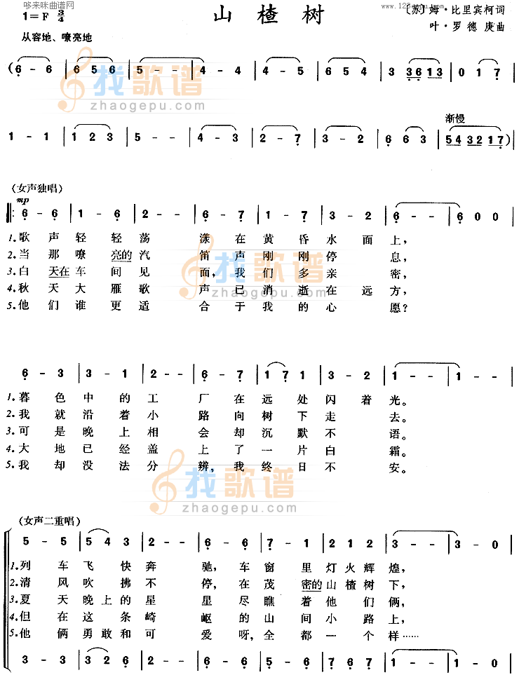 山楂树
