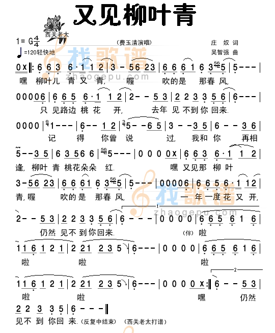 又见柳叶青