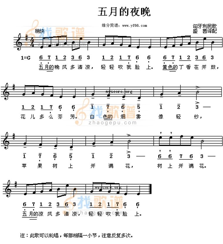 五月的夜晚