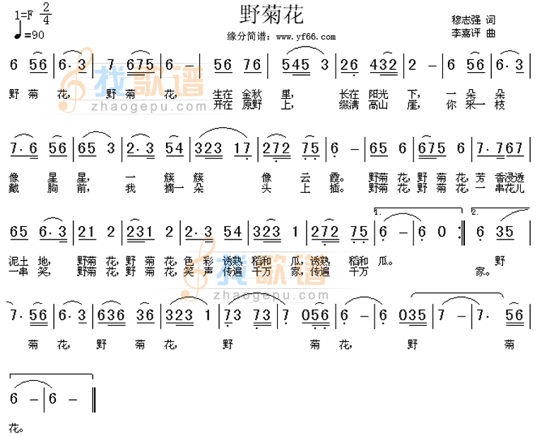 野菊花