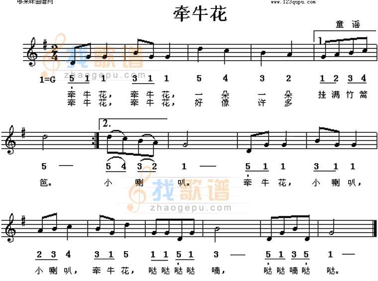 牵牛花