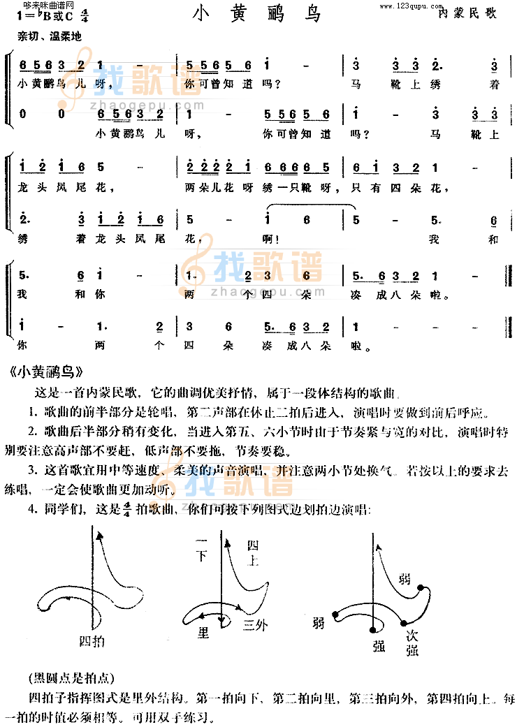 小黄鹂鸟
