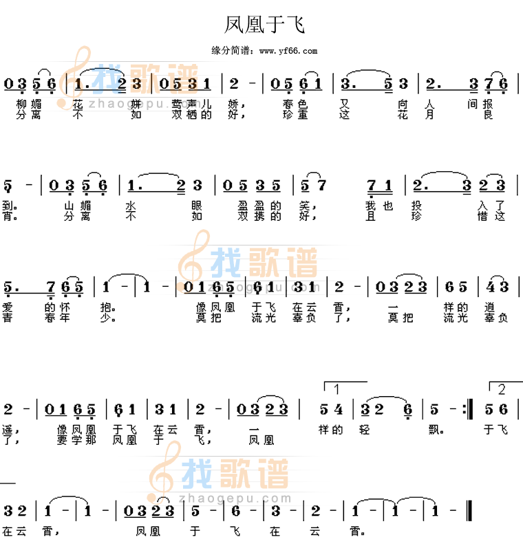 凤凰于飞
