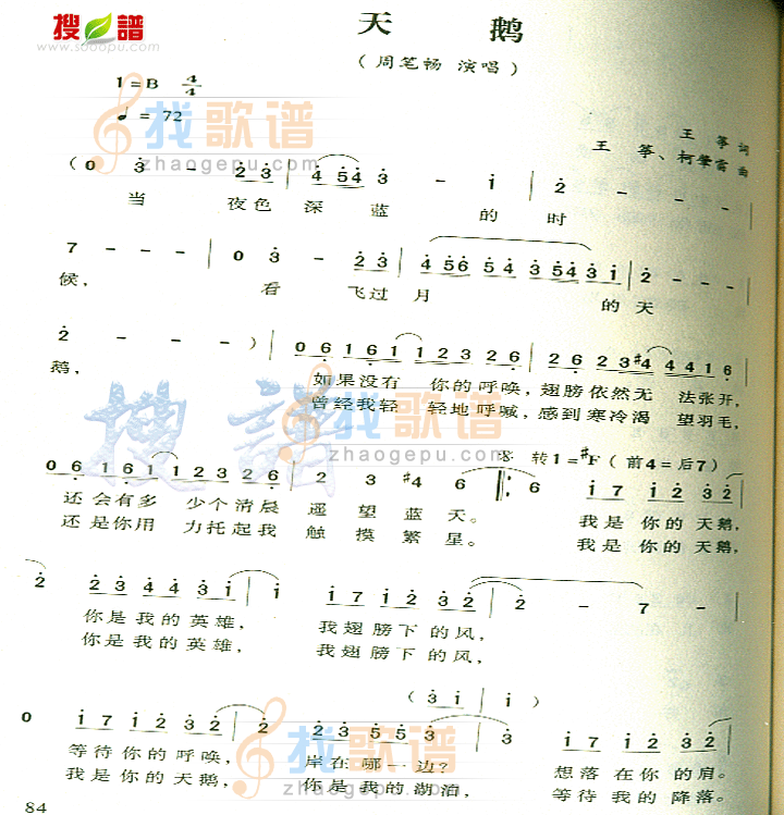 天鹅