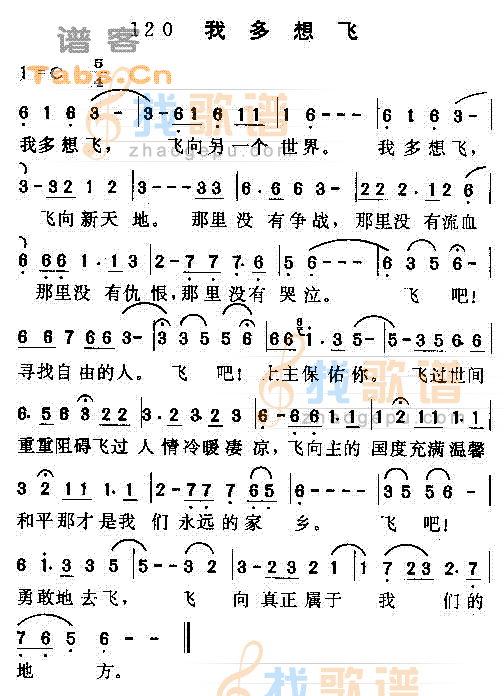 我多想飞