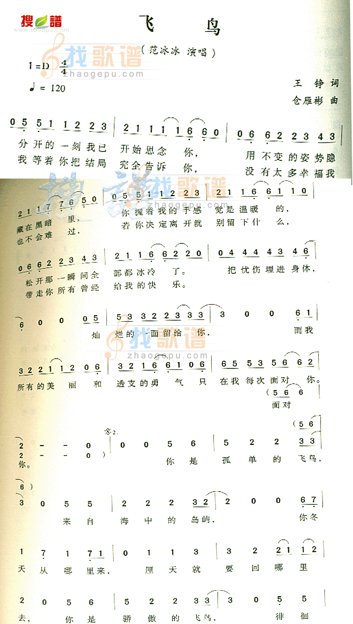 飞鸟