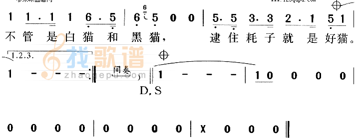 白猫黑猫