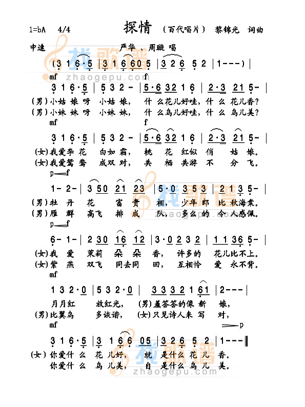 探情