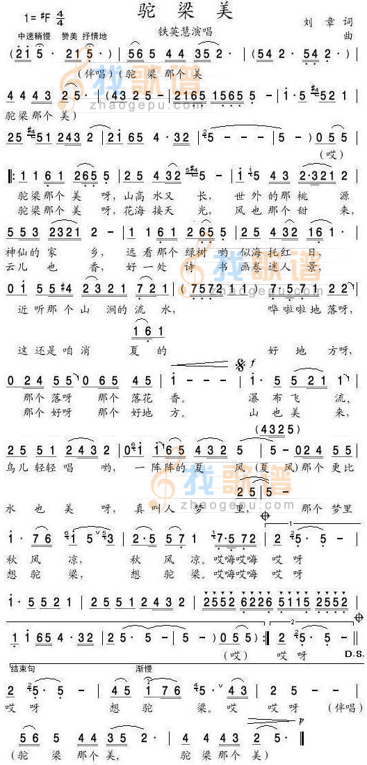 驼梁美