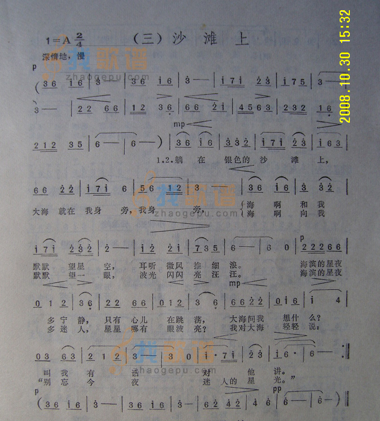 沙滩上