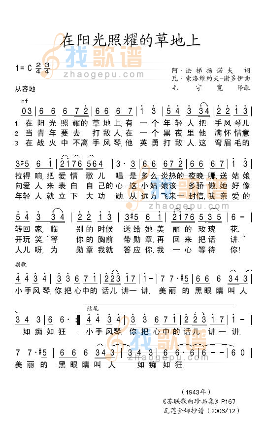 在阳光照耀的草地上