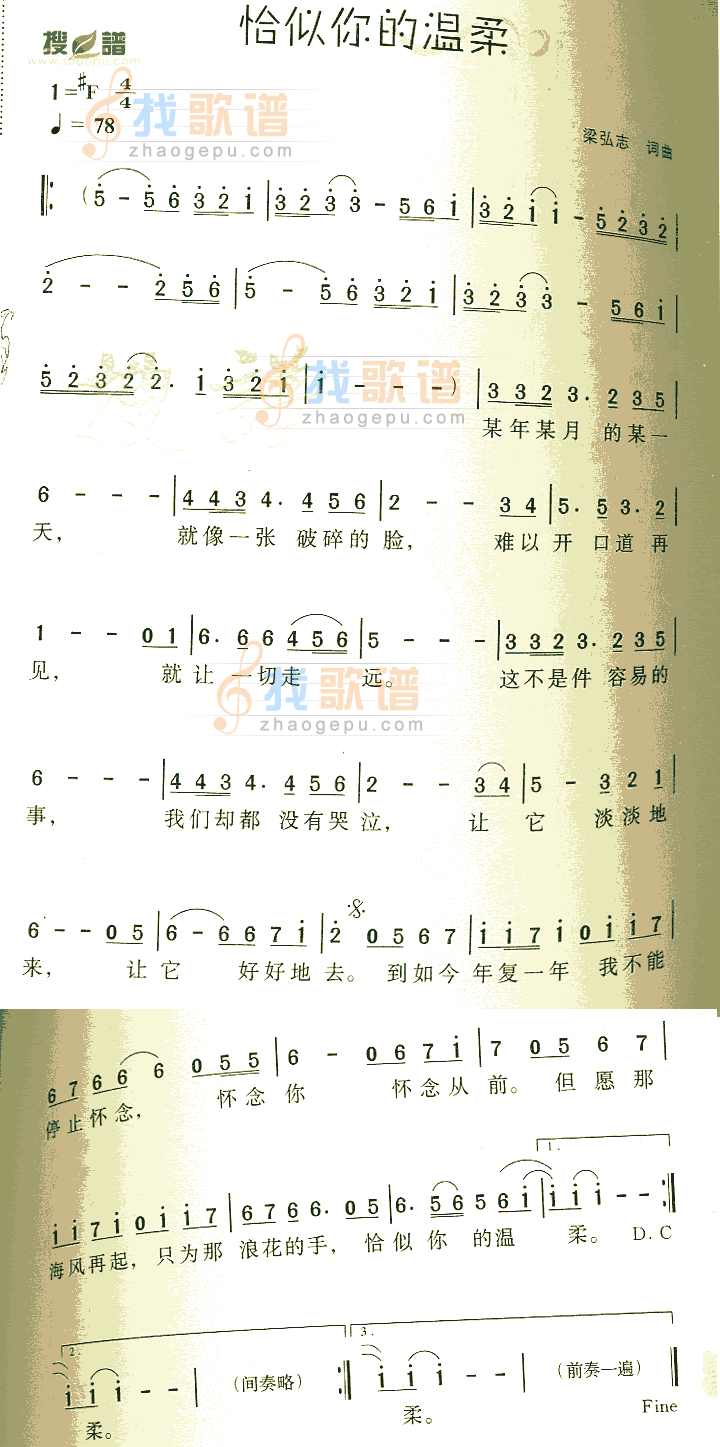 恰似你的温柔