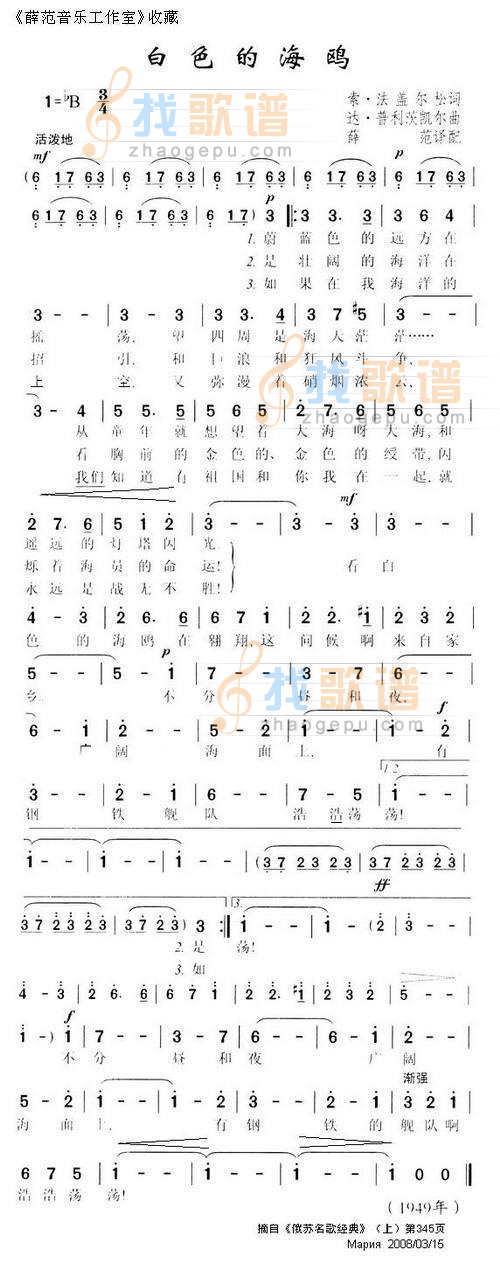 白色的海鸥.JPG