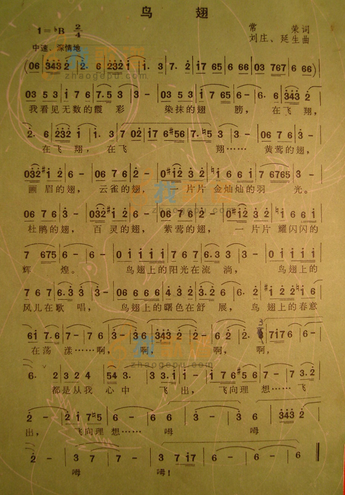 鸟翅