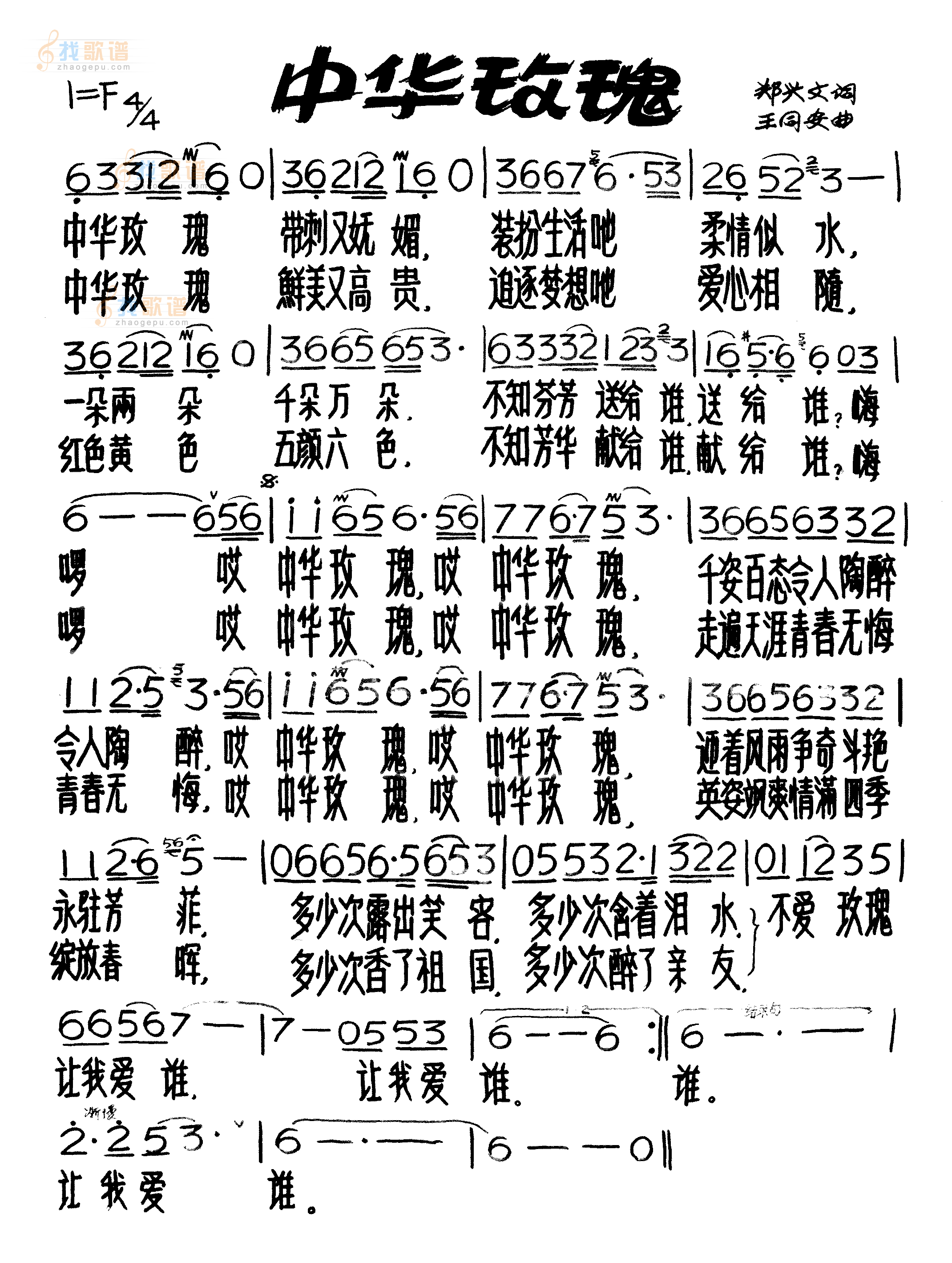 中华玫瑰