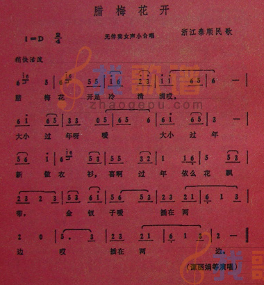 腊梅花开